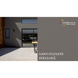 FJELLGRAA PLIOLITE.jpg